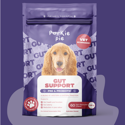 Gut Support