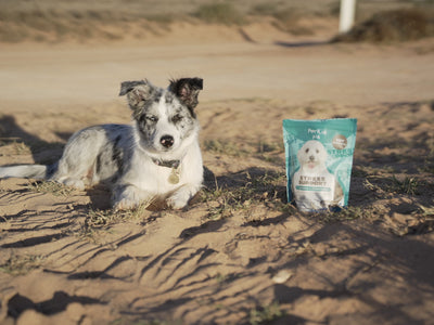 What is Taurine and Why Does Your Dog Need It?