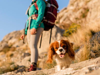 Good Habits Club: Travelling With Us (And Not Forgetting Our Supplements… Again)