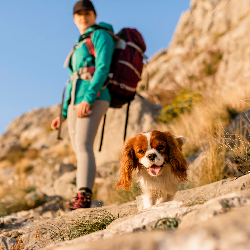 Good Habits Club: Travelling With Us (And Not Forgetting Our Supplements… Again)