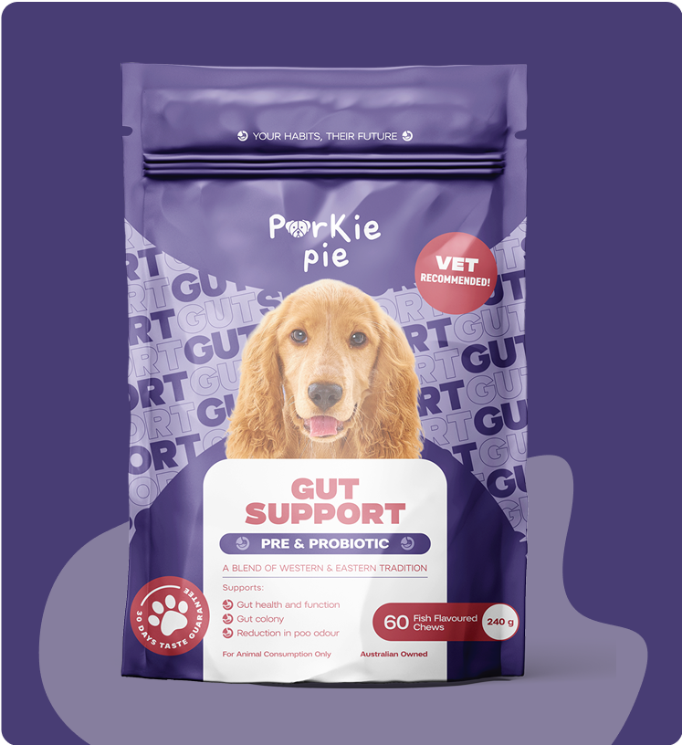 Is Your Dog’s Gut Healthy? 5 Signs to Watch For