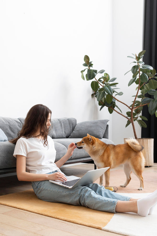 Welcome to the Good Habits Club: Puppy-Proofing