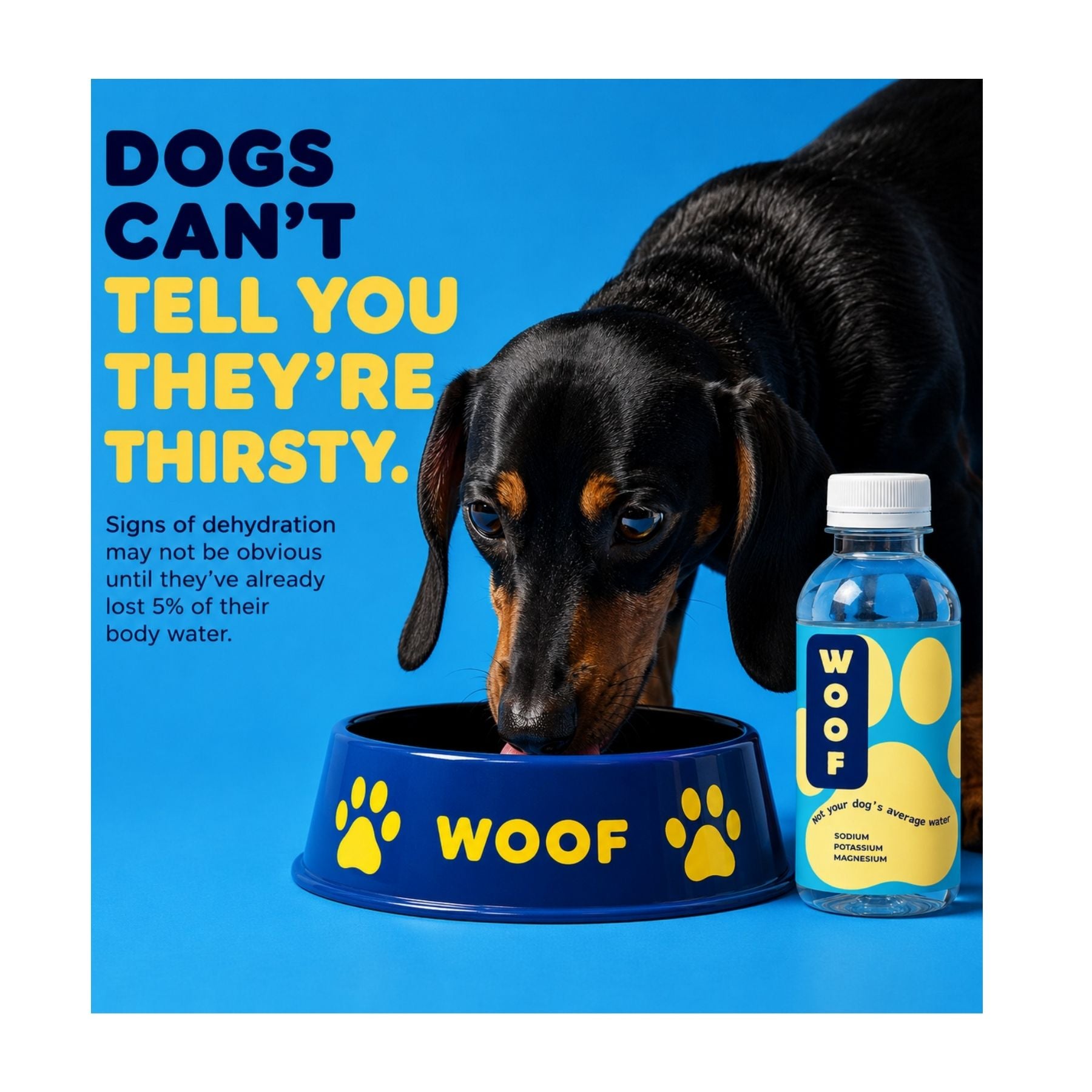 WOOF Water