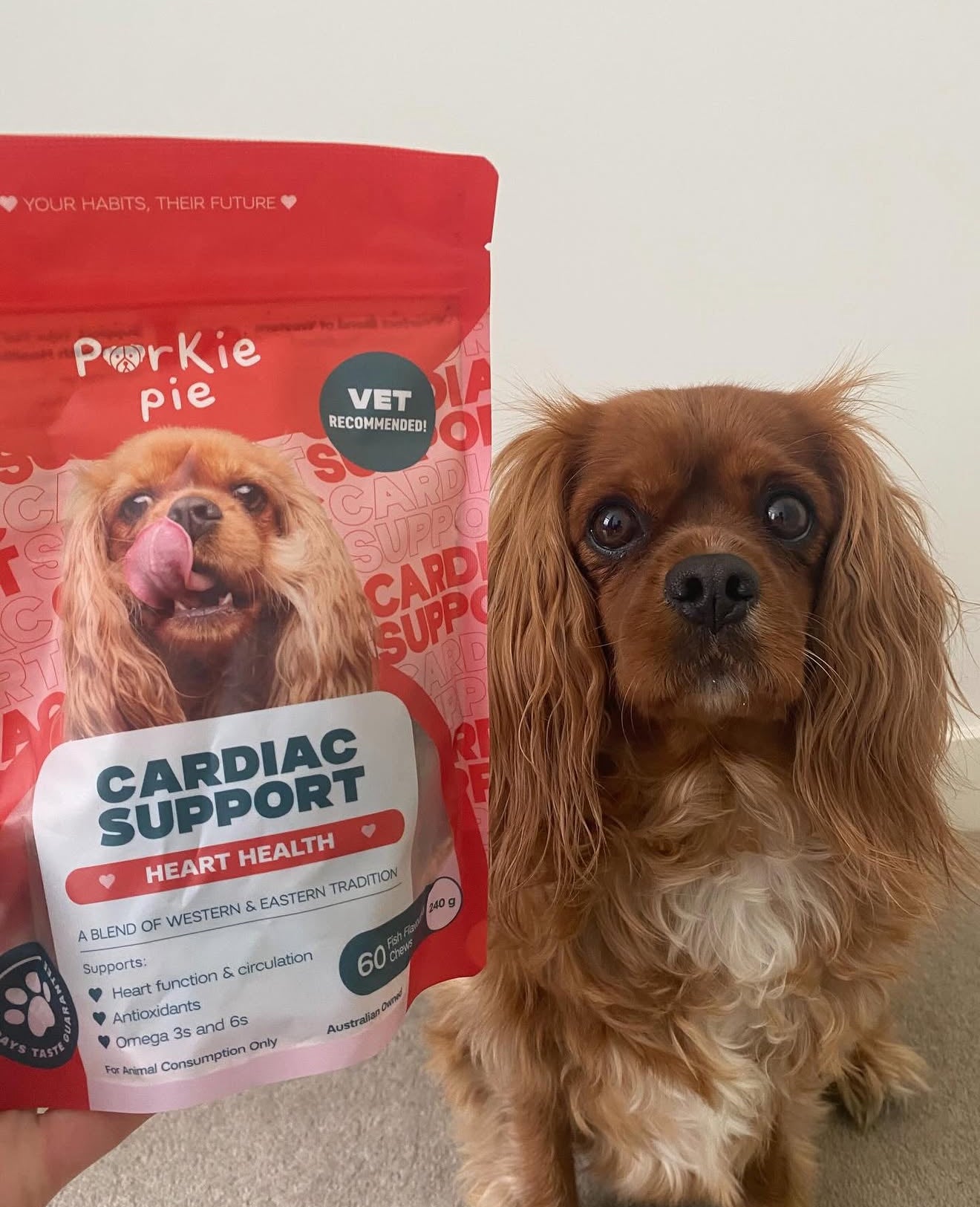 Supplement For Heart Health For Dogs