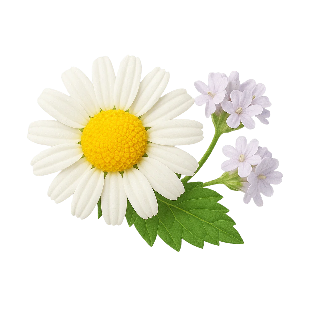 Chamomile, Valerian and Lemon Balm