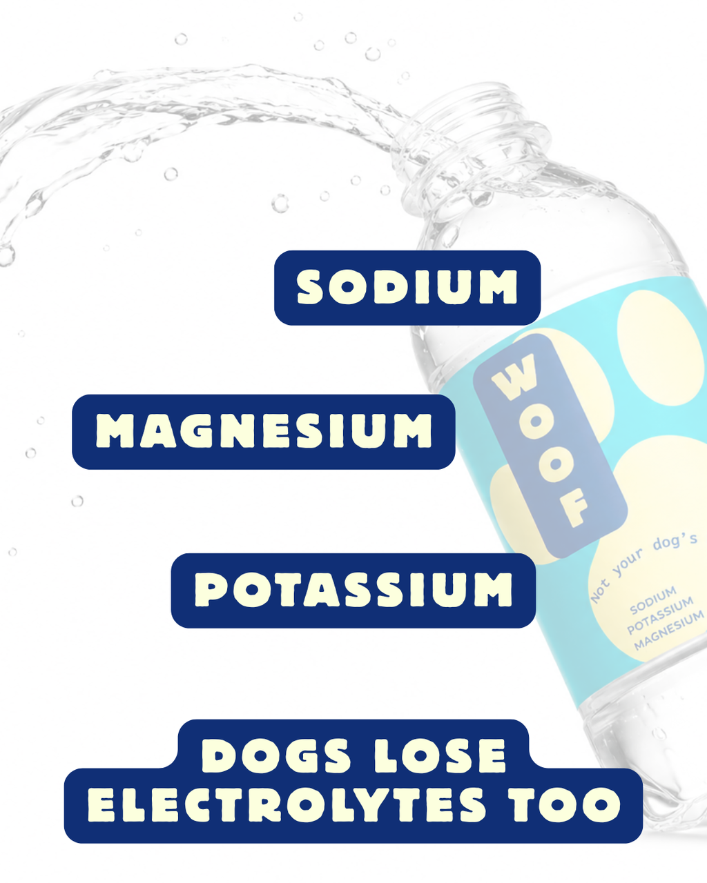 WOOF Electrolyte Water