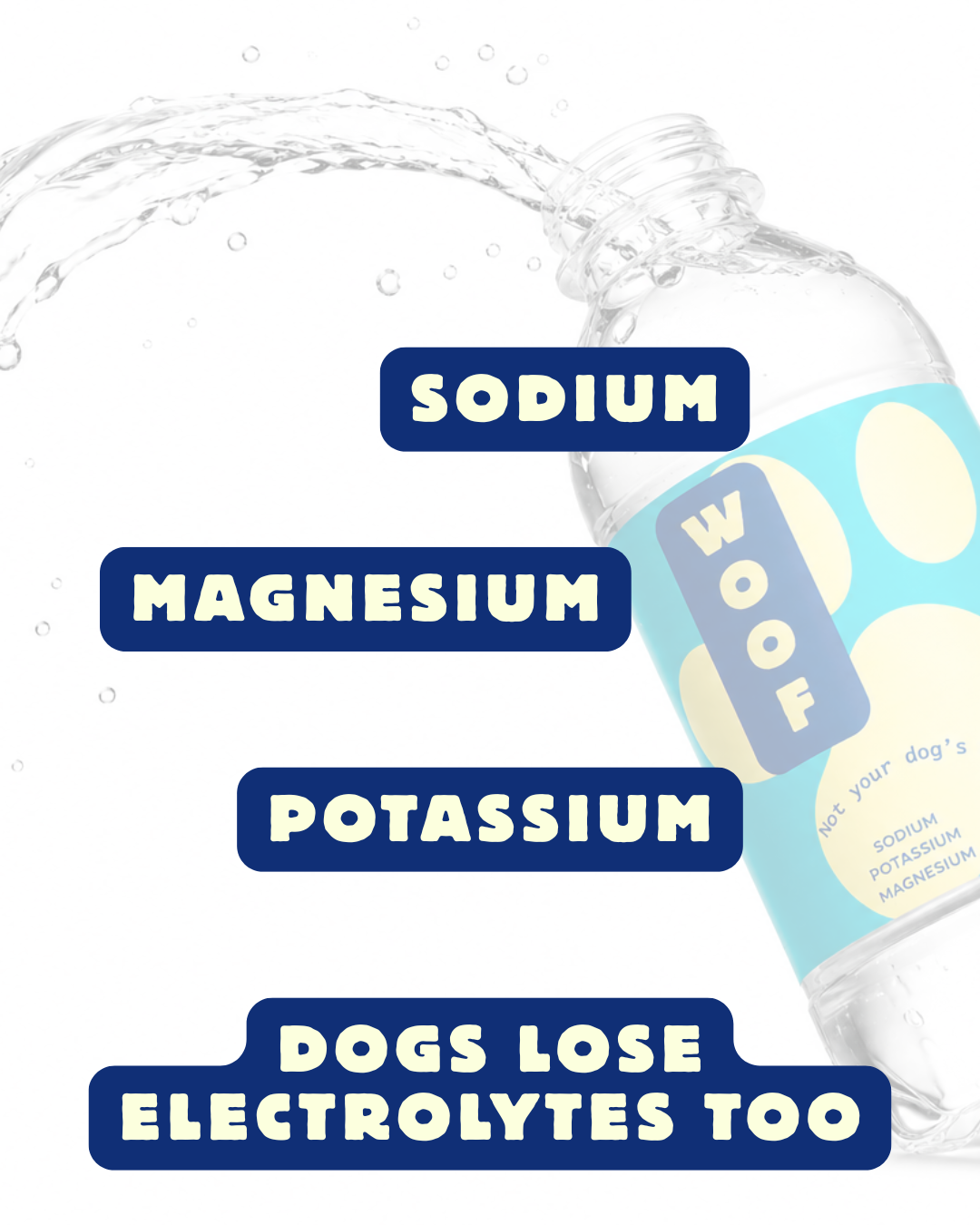 WOOF Electrolyte Water