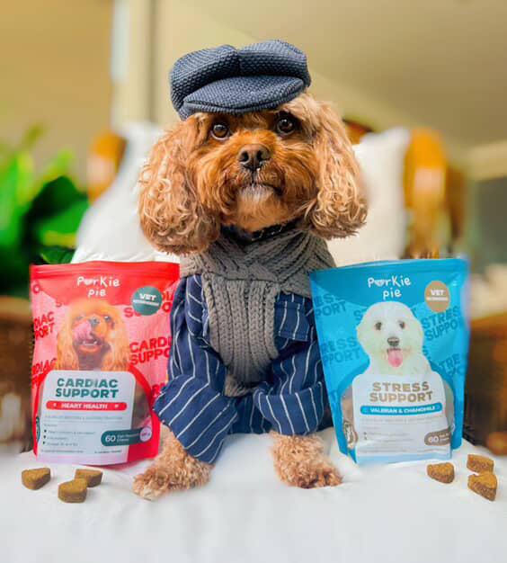 Dog Heart Health Treats