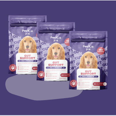 Gut Support Bundle