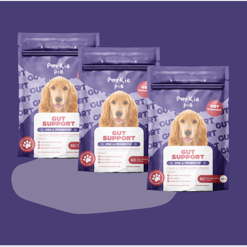 Gut Support Bundle