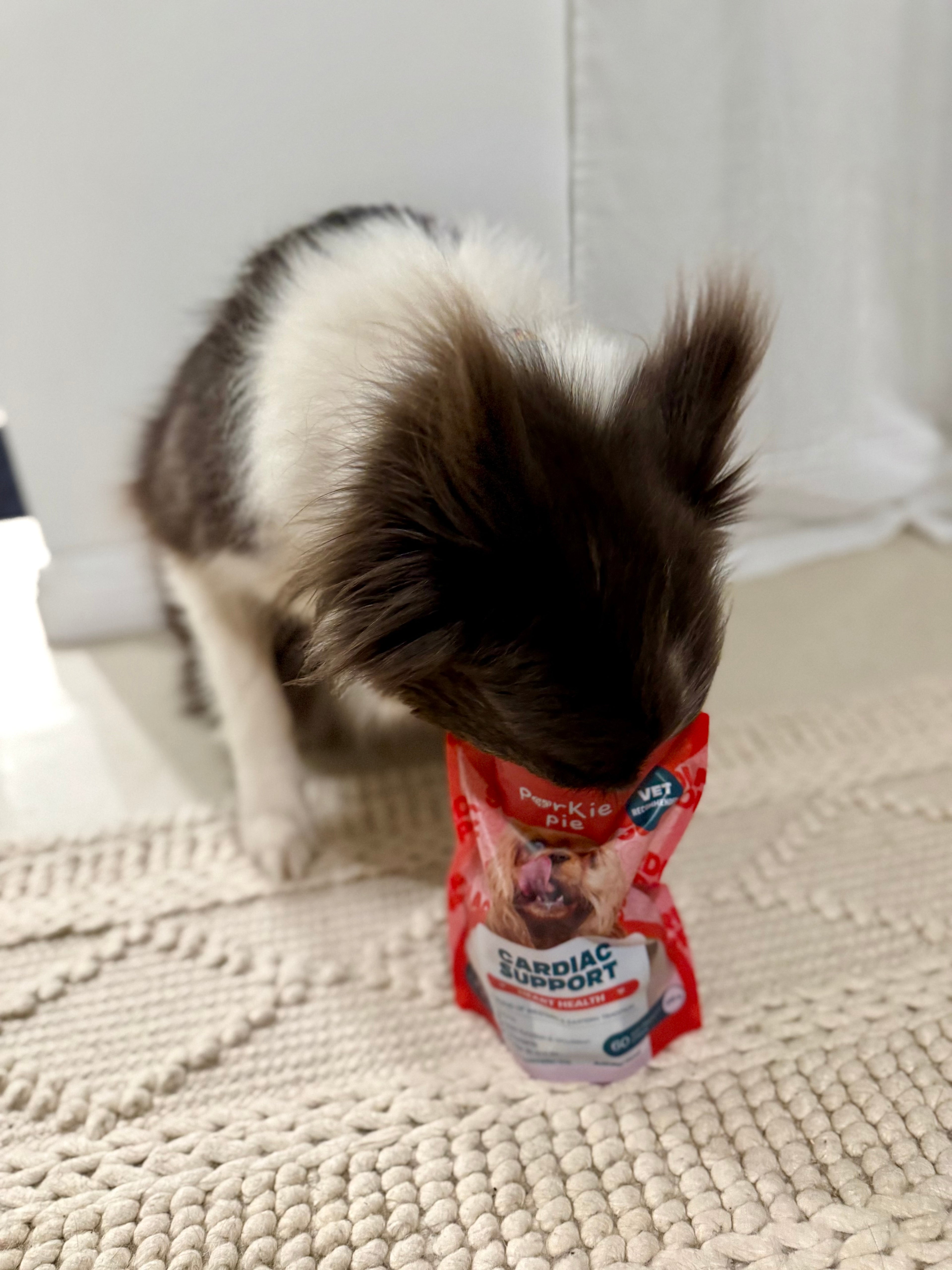 Heart Support Supplements for Dogs 
