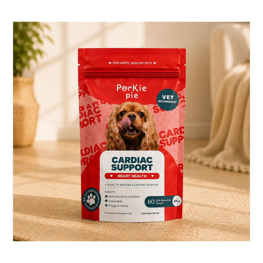 Cardiac Support
