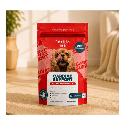 Cardiac Support