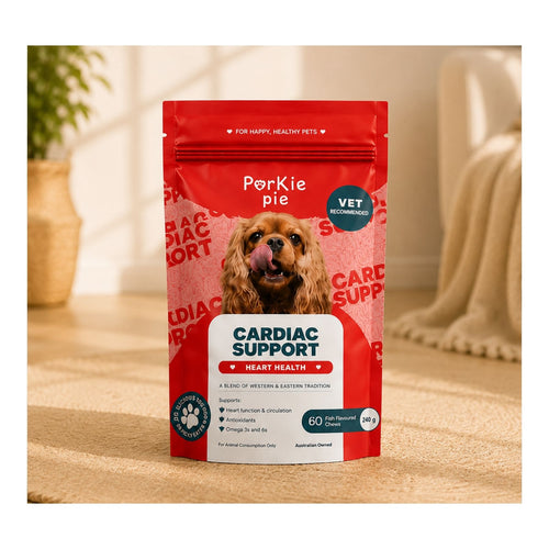 Cardiac Support