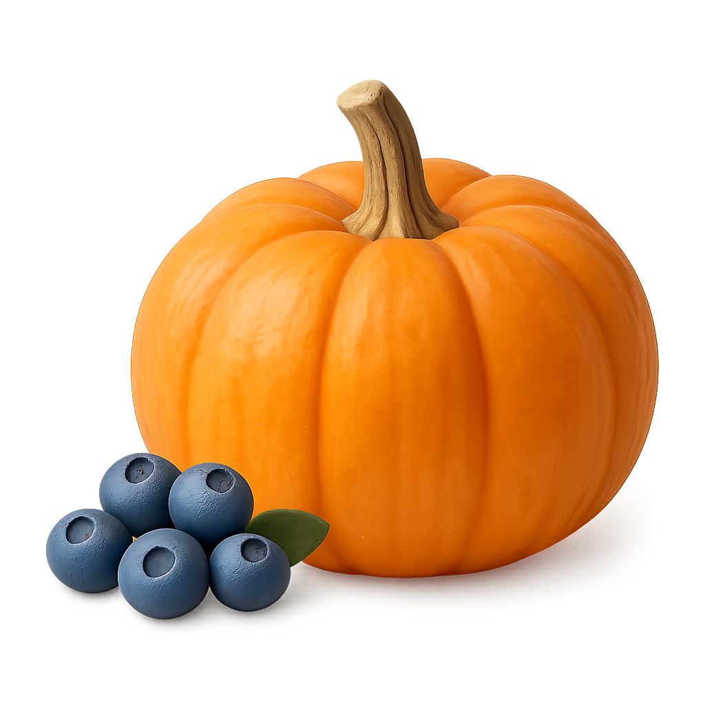 Pumpkin & Blueberry