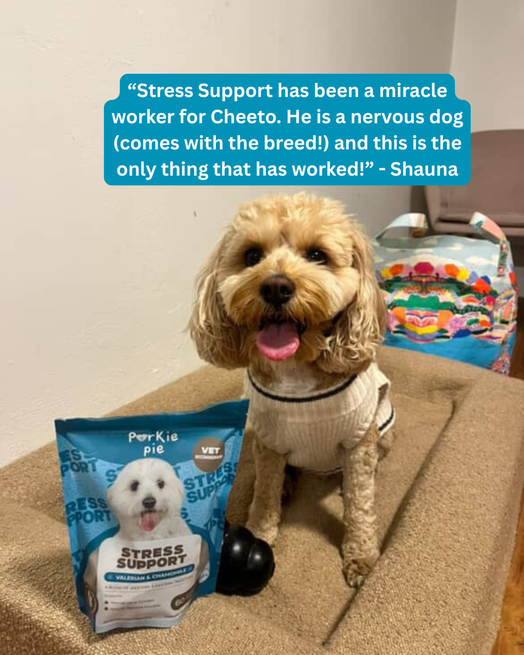Stress Support Bundle