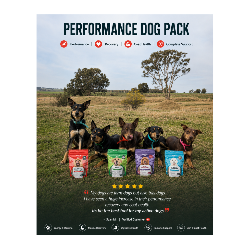 Performance Dog Pack