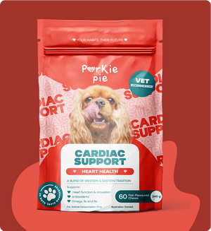 Cardiac Support