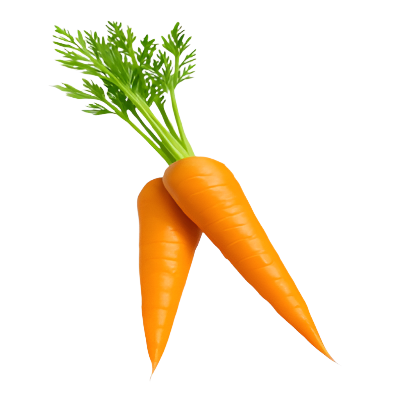 Carrot