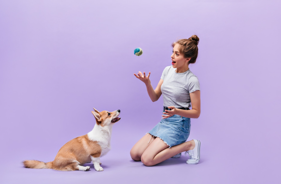 Australian dog health products